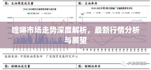 喹啉市場走勢深度解析，最新行情分析與展望