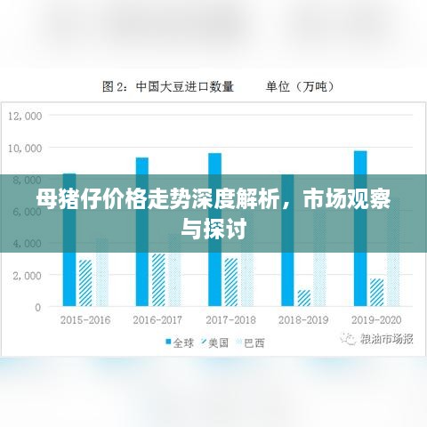 母豬仔價格走勢深度解析，市場觀察與探討