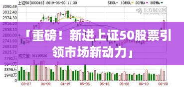 「重磅！新進(jìn)上證50股票引領(lǐng)市場(chǎng)新動(dòng)力」