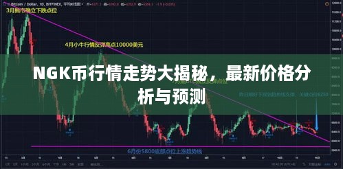 NGK幣行情走勢大揭秘，最新價格分析與預(yù)測