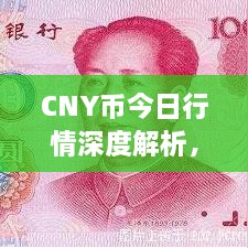 CNY幣今日行情深度解析，最新價格動態(tài)一網(wǎng)打盡！