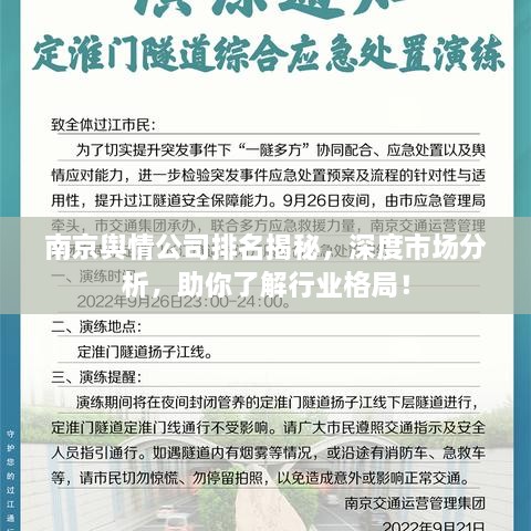 南京輿情公司排名揭秘，深度市場分析，助你了解行業(yè)格局！