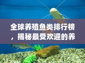 全球養(yǎng)殖魚類排行榜，揭秘最受歡迎的養(yǎng)殖魚類種類！