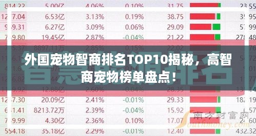 外國(guó)寵物智商排名TOP10揭秘，高智商寵物榜單盤點(diǎn)！