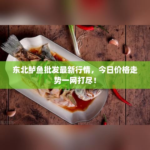 東北鱸魚批發(fā)最新行情，今日價格走勢一網(wǎng)打盡！