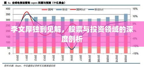 李文厚獨(dú)到見解，股票與投資領(lǐng)域的深度剖析