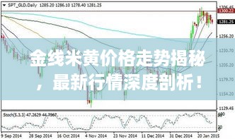 金線米黃價格走勢揭秘，最新行情深度剖析！