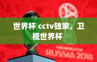 世界杯 cctv獨家，衛(wèi)視世界杯 