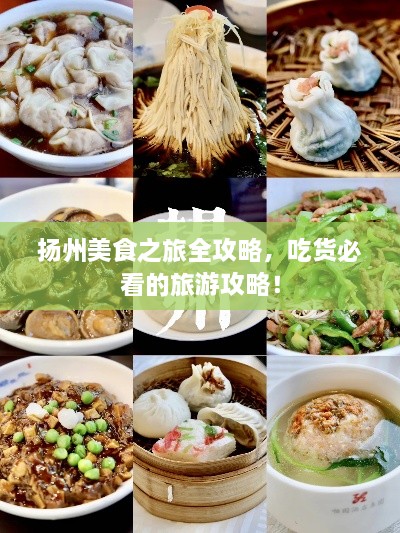 揚(yáng)州美食之旅全攻略，吃貨必看的旅游攻略！