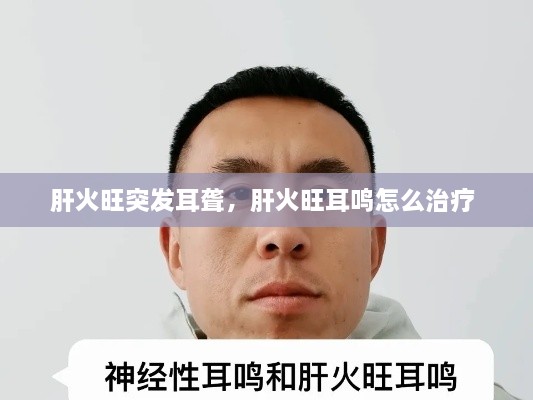 肝火旺突發(fā)耳聾，肝火旺耳鳴怎么治療 