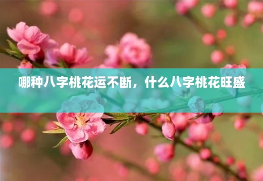 哪種八字桃花運(yùn)不斷，什么八字桃花旺盛 