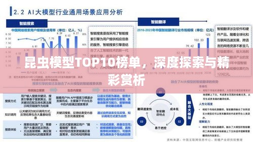 昆蟲模型TOP10榜單，深度探索與精彩賞析