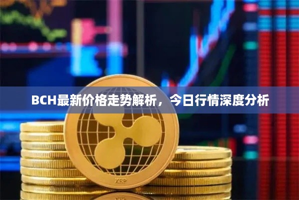 BCH最新價(jià)格走勢解析，今日行情深度分析