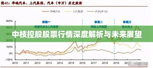 中枝控股股票行情深度解析與未來(lái)展望