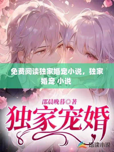 免費閱讀獨家婚寵小說，獨家婚寵 小說 