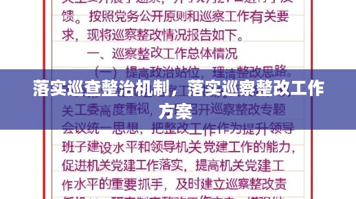 落實巡查整治機制，落實巡察整改工作方案 