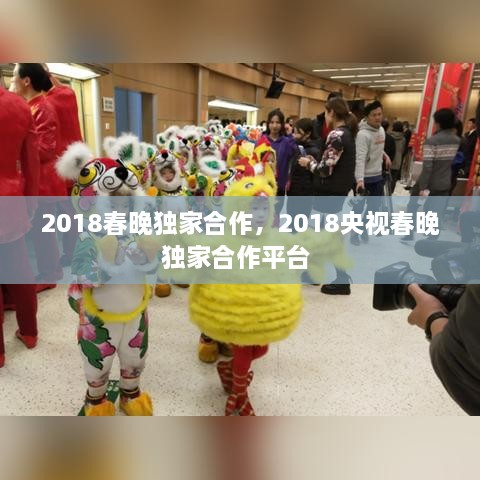 2018春晚獨家合作，2018央視春晚獨家合作平臺 