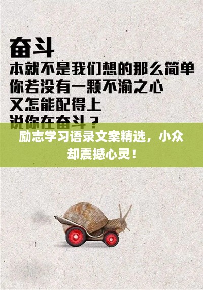 勵志學習語錄文案精選，小眾卻震撼心靈！