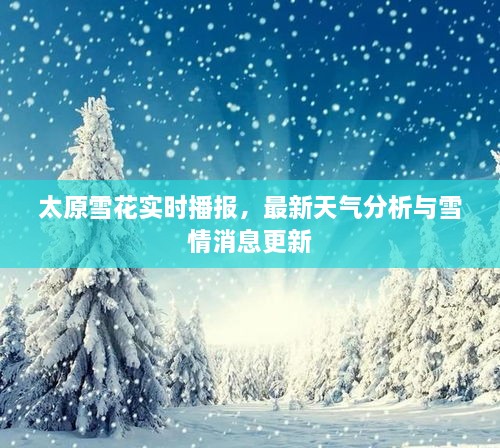 太原雪花實(shí)時(shí)播報(bào)，最新天氣分析與雪情消息更新