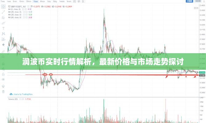 潤波幣實時行情解析，最新價格與市場走勢探討