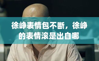 徐崢表情包不斷，徐崢的表情滾是出自哪 