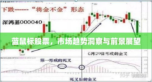 藍鼠標股票，市場趨勢洞察與前景展望