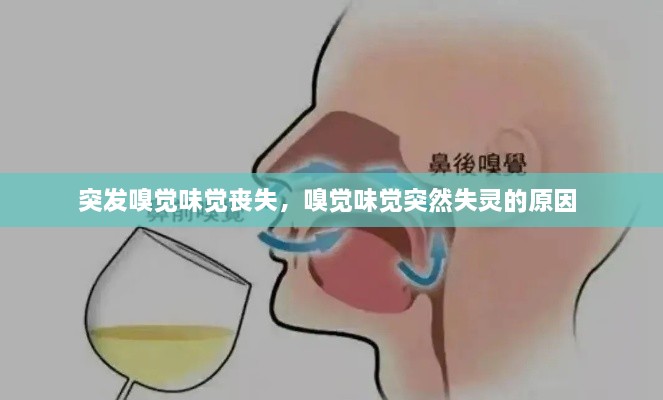 突發(fā)嗅覺味覺喪失，嗅覺味覺突然失靈的原因 