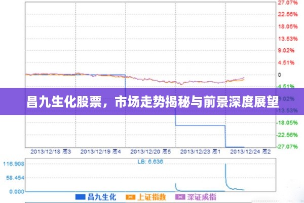 昌九生化股票，市場走勢(shì)揭秘與前景深度展望