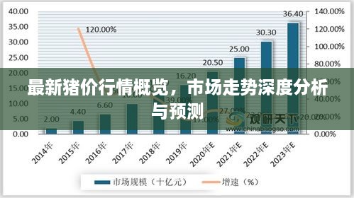 最新豬價行情概覽，市場走勢深度分析與預(yù)測