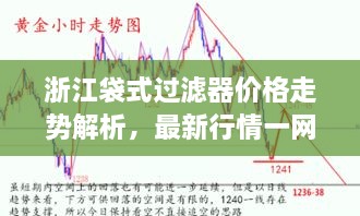 浙江袋式過(guò)濾器價(jià)格走勢(shì)解析，最新行情一網(wǎng)打盡！