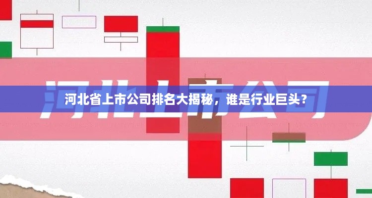 河北省上市公司排名大揭秘，誰是行業(yè)巨頭？