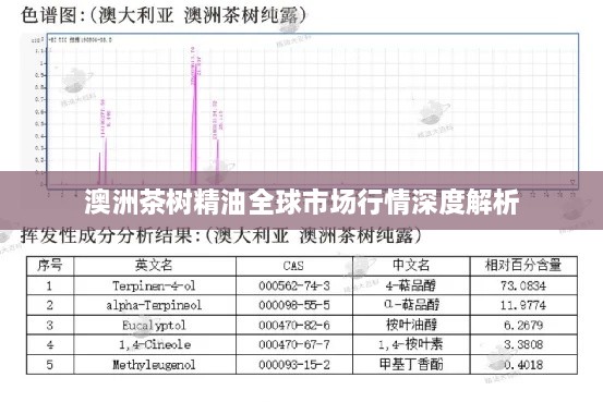 澳洲茶樹精油全球市場行情深度解析