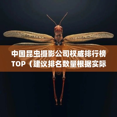 中國昆蟲攝影公司權威排行榜TOP（建議排名數(shù)量根據(jù)實際情況調整）