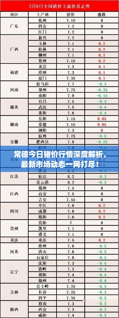 常德今日豬價行情深度解析，最新市場動態(tài)一網(wǎng)打盡！