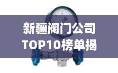 新疆閥門公司TOP10榜單揭曉，行業(yè)領軍者一覽無余