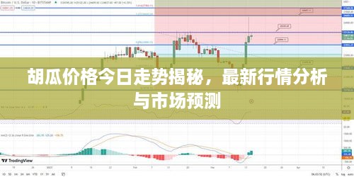 胡瓜價格今日走勢揭秘，最新行情分析與市場預(yù)測