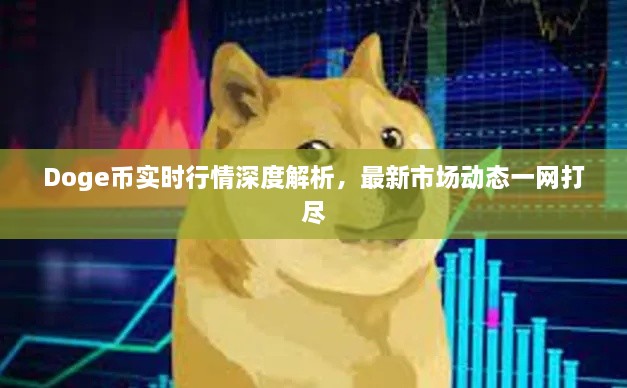 Doge幣實時行情深度解析，最新市場動態(tài)一網打盡