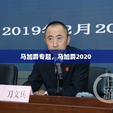 馬加爵專題，馬加爵2020 