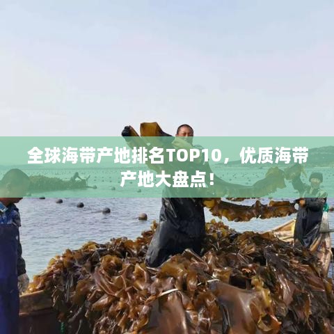 全球海帶產(chǎn)地排名TOP10，優(yōu)質(zhì)海帶產(chǎn)地大盤點(diǎn)！