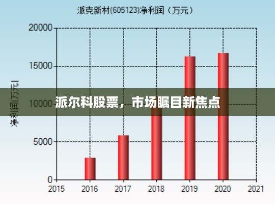 派爾科股票，市場矚目新焦點