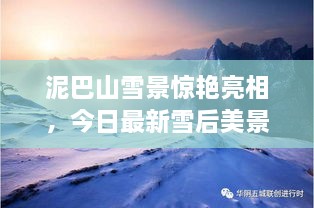 泥巴山雪景驚艷亮相，今日最新雪后美景報道！