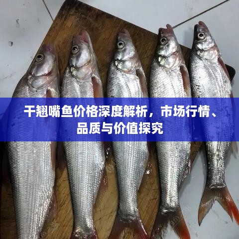 干翹嘴魚價格深度解析，市場行情、品質(zhì)與價值探究