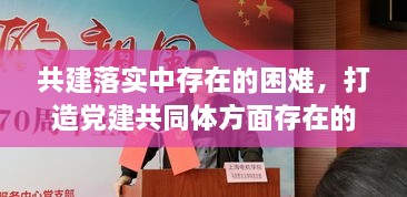 共建落實中存在的困難，打造黨建共同體方面存在的問題 