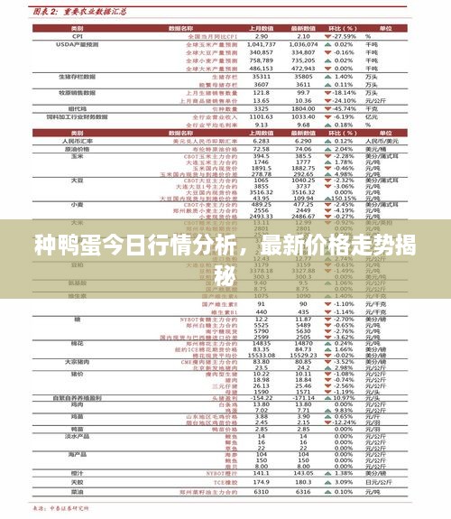 種鴨蛋今日行情分析，最新價(jià)格走勢(shì)揭秘