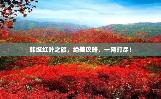 韓城紅葉之旅，絕美攻略，一網(wǎng)打盡！