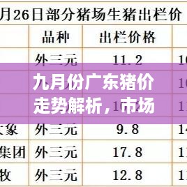 九月份廣東豬價走勢解析，市場行情、價格變動一網(wǎng)打盡