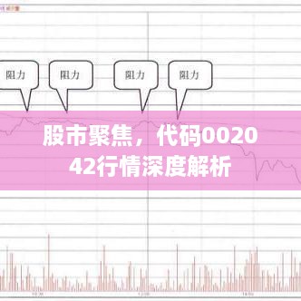 股市聚焦，代碼002042行情深度解析