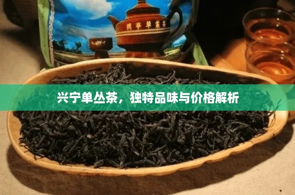 興寧單叢茶，獨(dú)特品味與價格解析