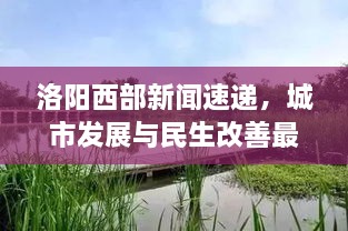 洛陽西部新聞速遞，城市發(fā)展與民生改善最新動態(tài)報道