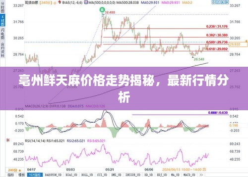 亳州鮮天麻價格走勢揭秘，最新行情分析